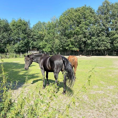 Pipowagen het Oventje Villa Zeeland Buitenkant foto