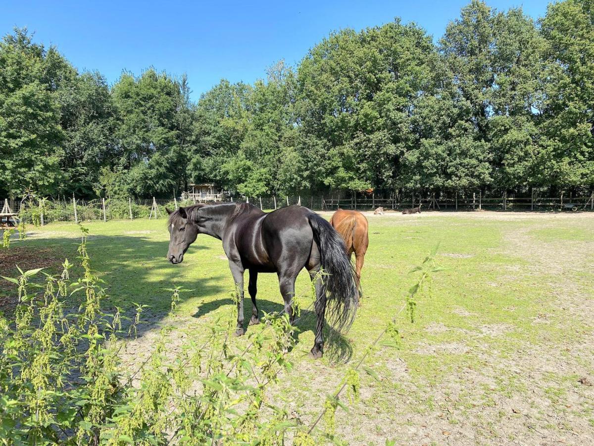 Pipowagen het Oventje Villa Zeeland Buitenkant foto